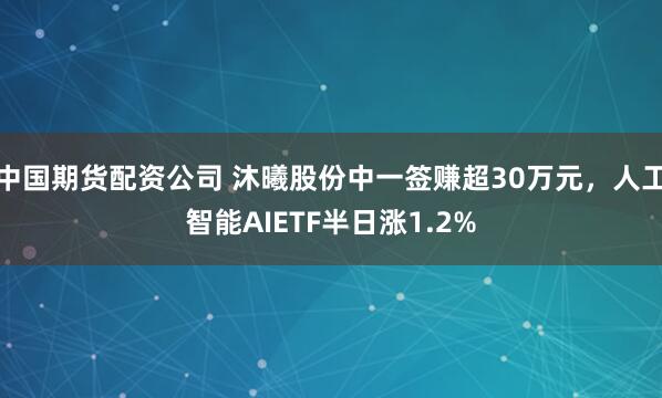 中国期货配资公司 沐曦股份中一签赚超30万元，人工智能AIETF半日涨1.2%